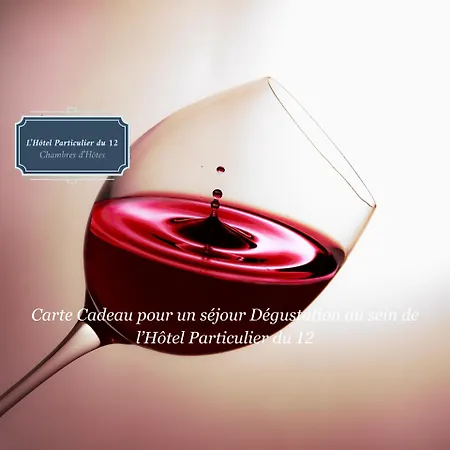 L'hotel Particulier Du 12 Niort