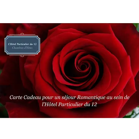 Nocleg ze śniadaniem L'hotel Particulier Du 12 Niort